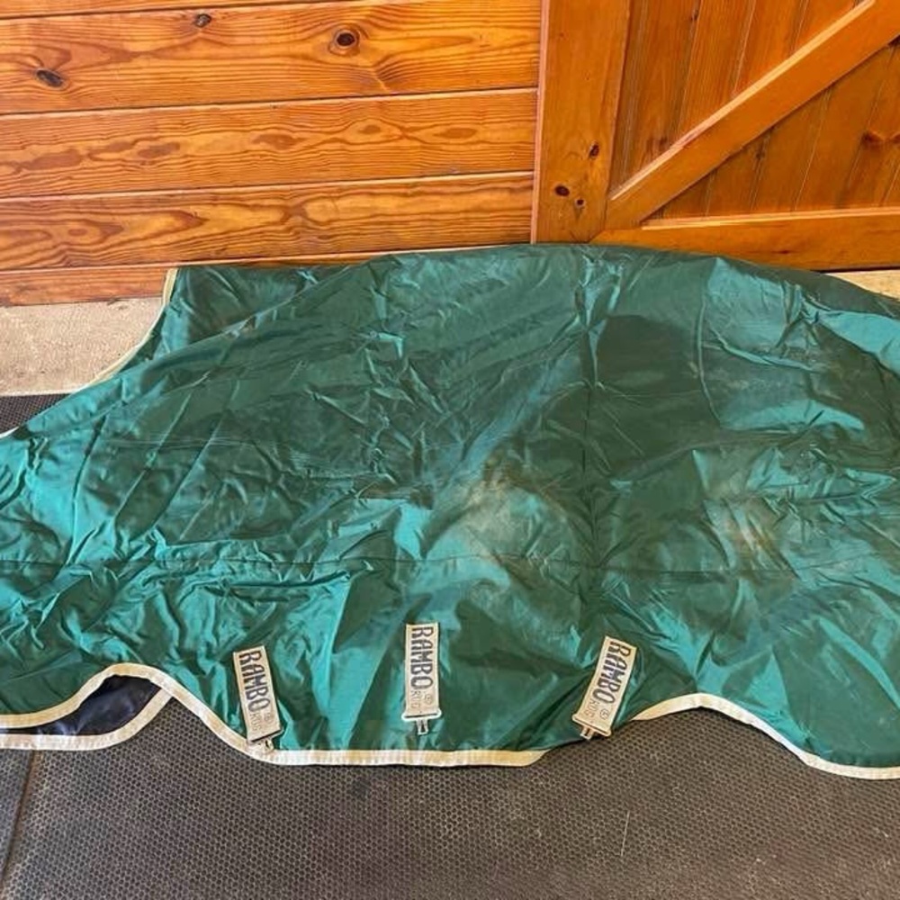 Green Pet Blanket